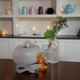Calm & Cozy Gift Set: Diffuser Oil, Ganesh Statue & Cat Humidifier SPM-100
