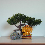 Prosperity & Calm Gift Set: Bonsai, Ganesha & Scented Candle SPM-129