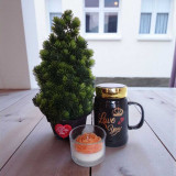 Sweet Love Gift Set: Mug, Rose Candle & Salla Plant SPM-143