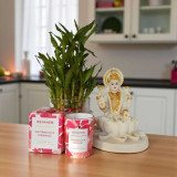 Divine Luck & Fragrance Gift Set: Laxmi Idol, Bamboo & Candle SPM-153