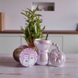 Thoughtful Gift Set: Grey Mug, Bamboo Plant & Big Day Candle SPM-195