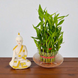 Harmony & Prosperity Premium Gift Ensemble SK-1164