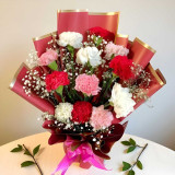 One Dozen Mixed Carnations Bouquet | Subscription Available SPM-236