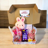 Birthday Gift Box with Diary, Bottle, Rabbit & Chocolate for Kids JNK-5564