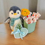 Raffaello Delight Box with Cute Penguin JNK-5594
