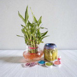 Lucky Bamboo with Buddha Tea-Light Oil Burner Combo SPM-330