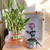 Personalized Frame with Bamboo Plant & Mandala Candle For Her SPM-348