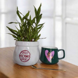 ‘Be Mine’ Mug with Sweet Home Bamboo Plant Vase Gift Set SPM-355