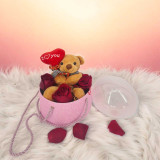 Adorable Teddy with Roses Gift Box JNK-5799