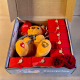 Teddy with Accessories & Chocolates Box JNK-5850