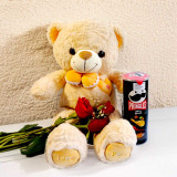 Adorable Teddy , Spicy Pringles & Red Roses Surprise BPL-805