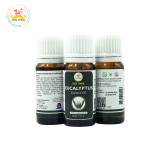 Desi Grub Eucalyptus Essential Oil 10ml