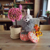 Bonsai, Candle & Ganesha Gift Set with Keyring SPM-499