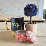 Mr. Mug, Candle & Bonsai Gift Set SPM-509