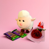 Cute & Cozy Gift Hamper with Plush, Chocolate & Rose Bouquet