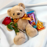 Cuddly Teddy, Mini Statue, Chocolate & Rose Gift Set BPL-870