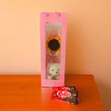 Forever Bloom Crochet Sunflower & Teddy Keyring Gift Set SPM-533