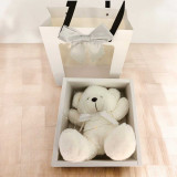 Adorable Teddy with Artificial Roses & Chocolate Bouquet SPM-547