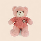 Happy Teddy Day Gift with Teddy