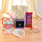 Deluxe Beauty & Cartoon Accessories Gift Hamper SK-2000