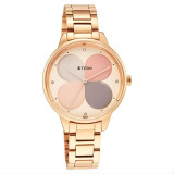 Titan Glam It Up Multicolour Women’s Watch 2648WM02