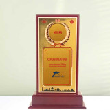 Personalized Achievement Trophy in Wood & Gold DKG-712