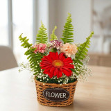 Gerbera & Carnation Floral Gift Basket SK-2658