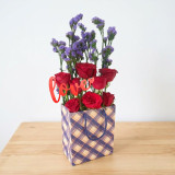 Elegant Red Roses & Dried Gypsy In Bag