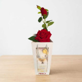 Personalized Gift Set with Chocolate, Artificial Rose & Hello Kitty SK-2825