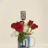 Best Dad Ever Roses & Mug Gift Combo With Topper SK-3130
