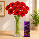 Fresh Red Gerbera In Vase & Chocolate Gift SK-3585