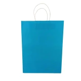 Blue Paper Bag- Medium Size PKG-PB-170