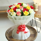 20 Multi-Color Long Stem Roses