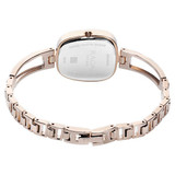 Titan Raga Grey Dial Analog Watch Women 2604WM01