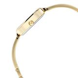 Titan Champagne Dial Analog Watch for Women 2604YM01