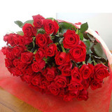 50 Long Stemmed Fresh Red Roses