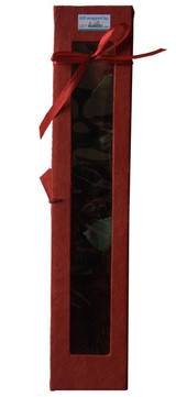 You and I Together - Two Roses in Elegant Red Box