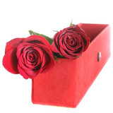 You and I Together - Two Roses in Elegant Red Box