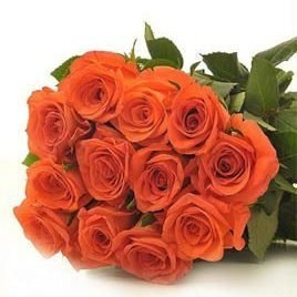 One Dozen Orange Roses Bouquet
