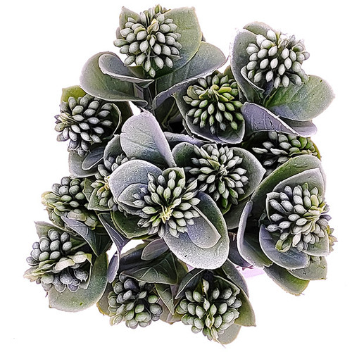 Beautiful Green Artificial Plant in Ceramic Pot