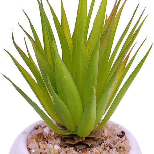 Artificial Succulent Plant in Vase (Agave tequilana)