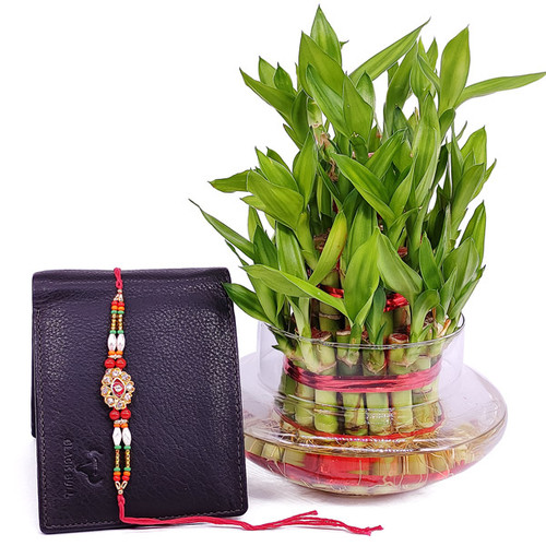 Rakhi with Bamboo Plant and Wallet