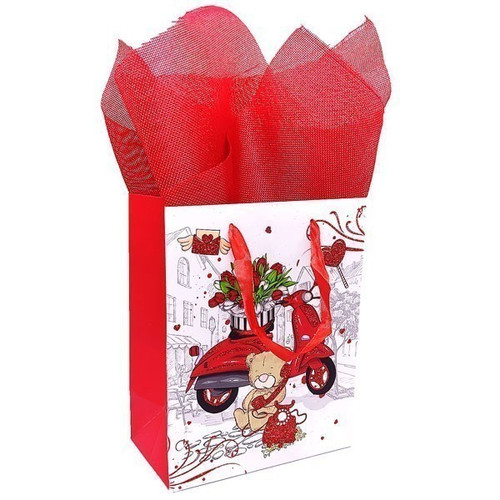 Red Scooter Full of Flowers Printed Paper Bag (1-3 Items)