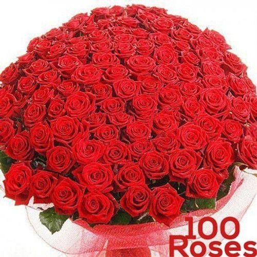 100 Long Stem Fresh Red Roses (Free Cadbury Silk Chocolate)