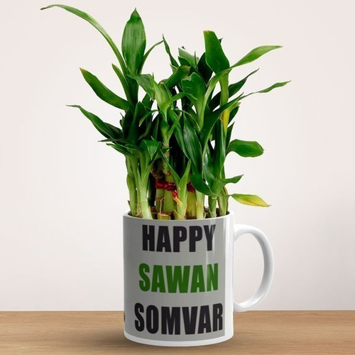 "Happy Sawan Somvar" Printed Bamboo Plant Mug