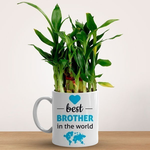 Lucky Bamboo Plant Mug For Best Brother in The World