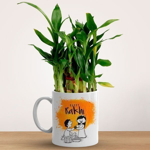 Rakhi Special Mug With Bamboo Plant Gift