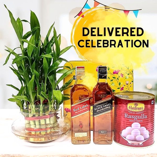Johnnie Walker Whisky with Bamboo Plant & Sweets