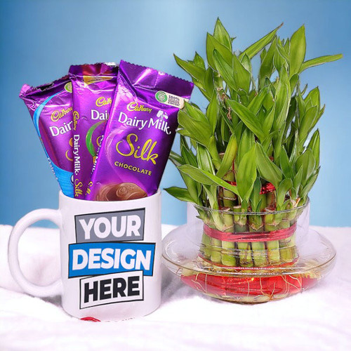 Bamboo Plant, Cadbury Chocolates and Personalized Mug