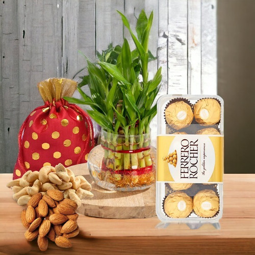 Ferrero Rocher With Dry Nuts & 2 layer Bamboo Plant